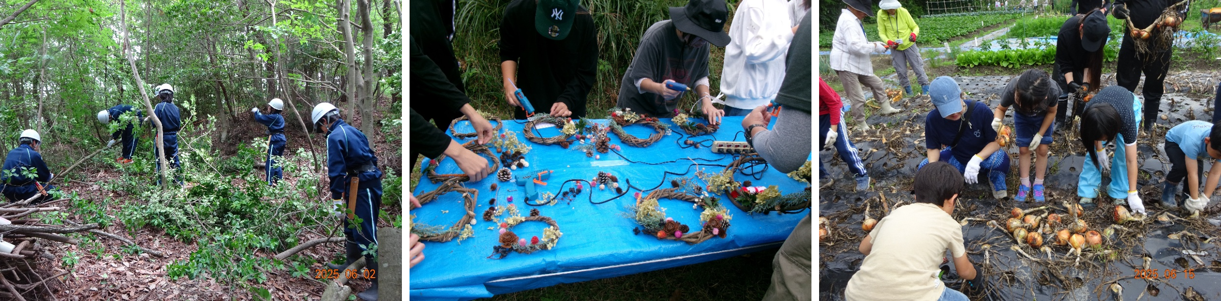 image_(2026_0316_1211).png