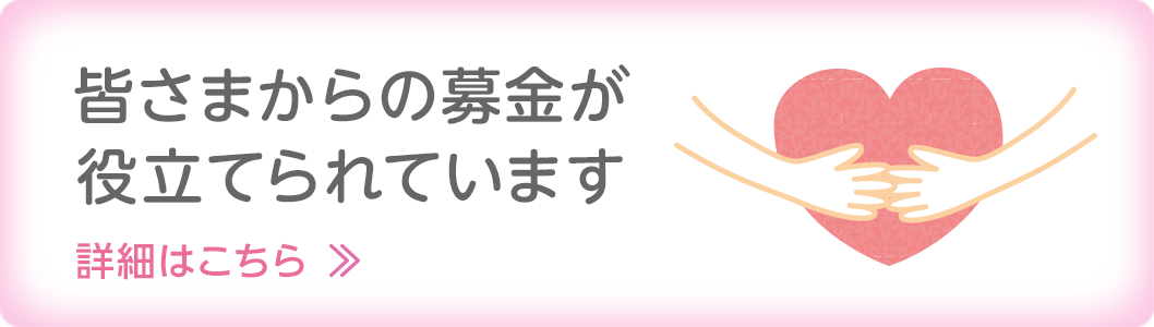 皆さまからの募金が役立てられています/詳細はこちら